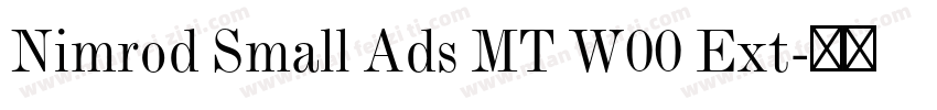 Nimrod Small Ads MT W00 Ext字体转换